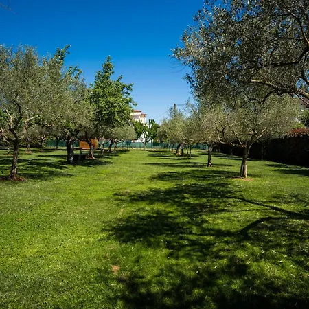 Lv Near Novigrad For 8 People & Children Playground Only 1,5 Km From